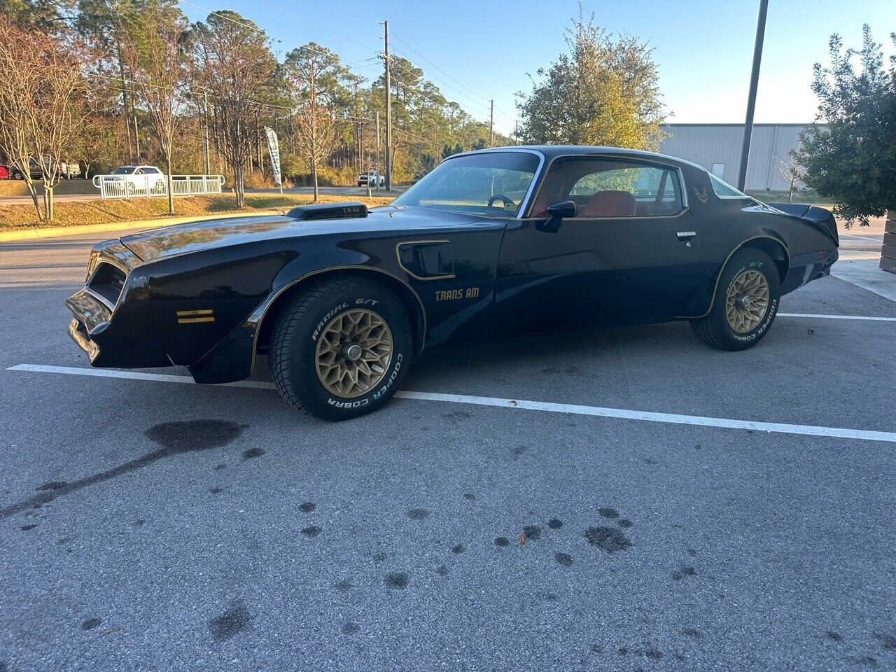 Pontiac-Trans-Am-1978-Black-Red-10498-7