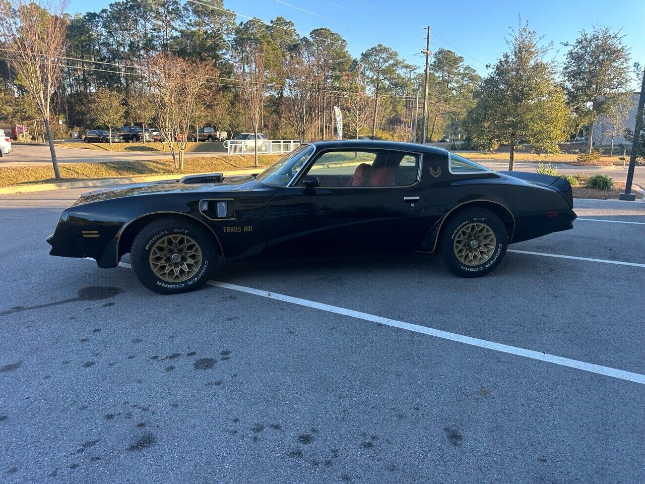 Pontiac-Trans-Am-1978-Black-Red-10498-9