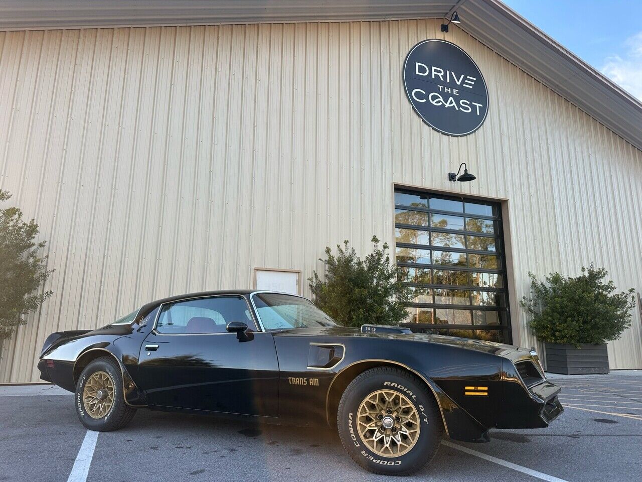 Pontiac Trans Am  1978