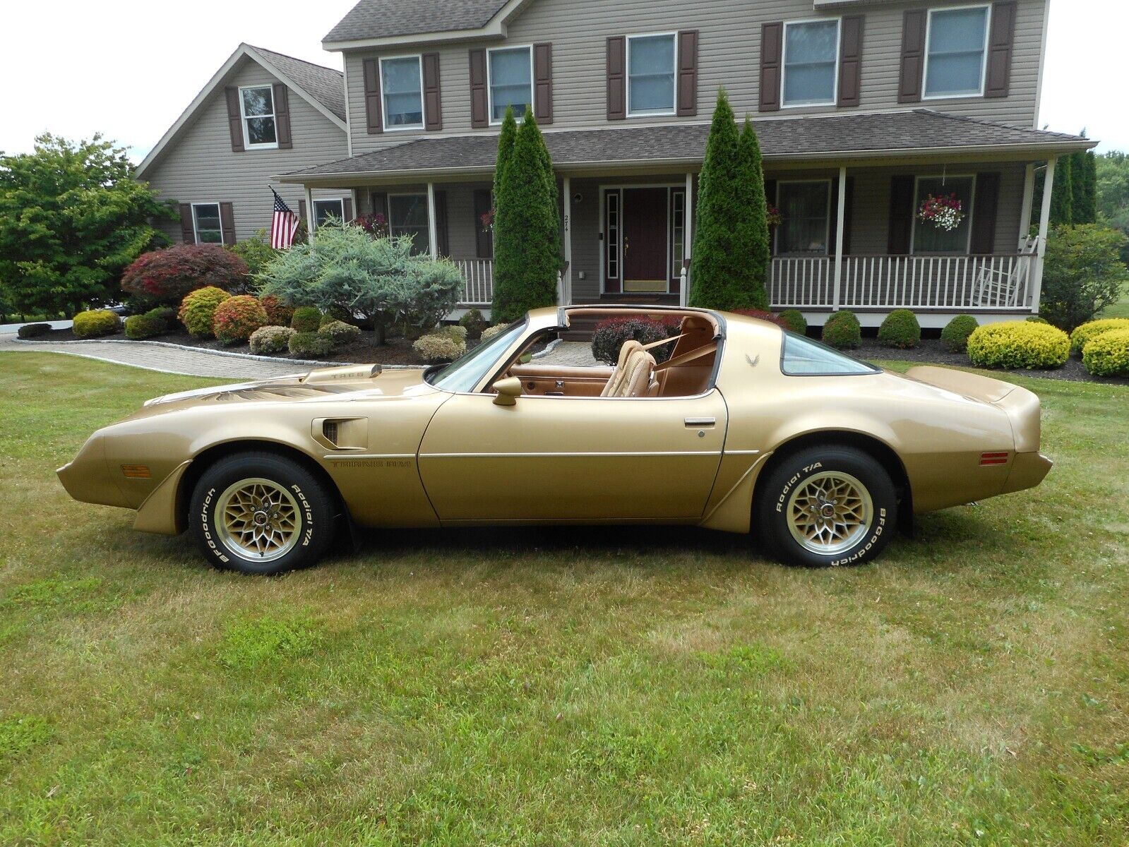 Pontiac-Trans-Am-1979-1