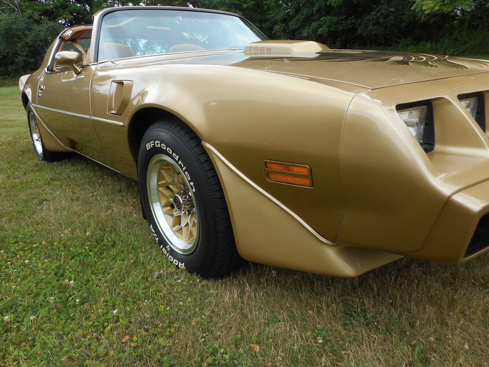 Pontiac-Trans-Am-1979-12