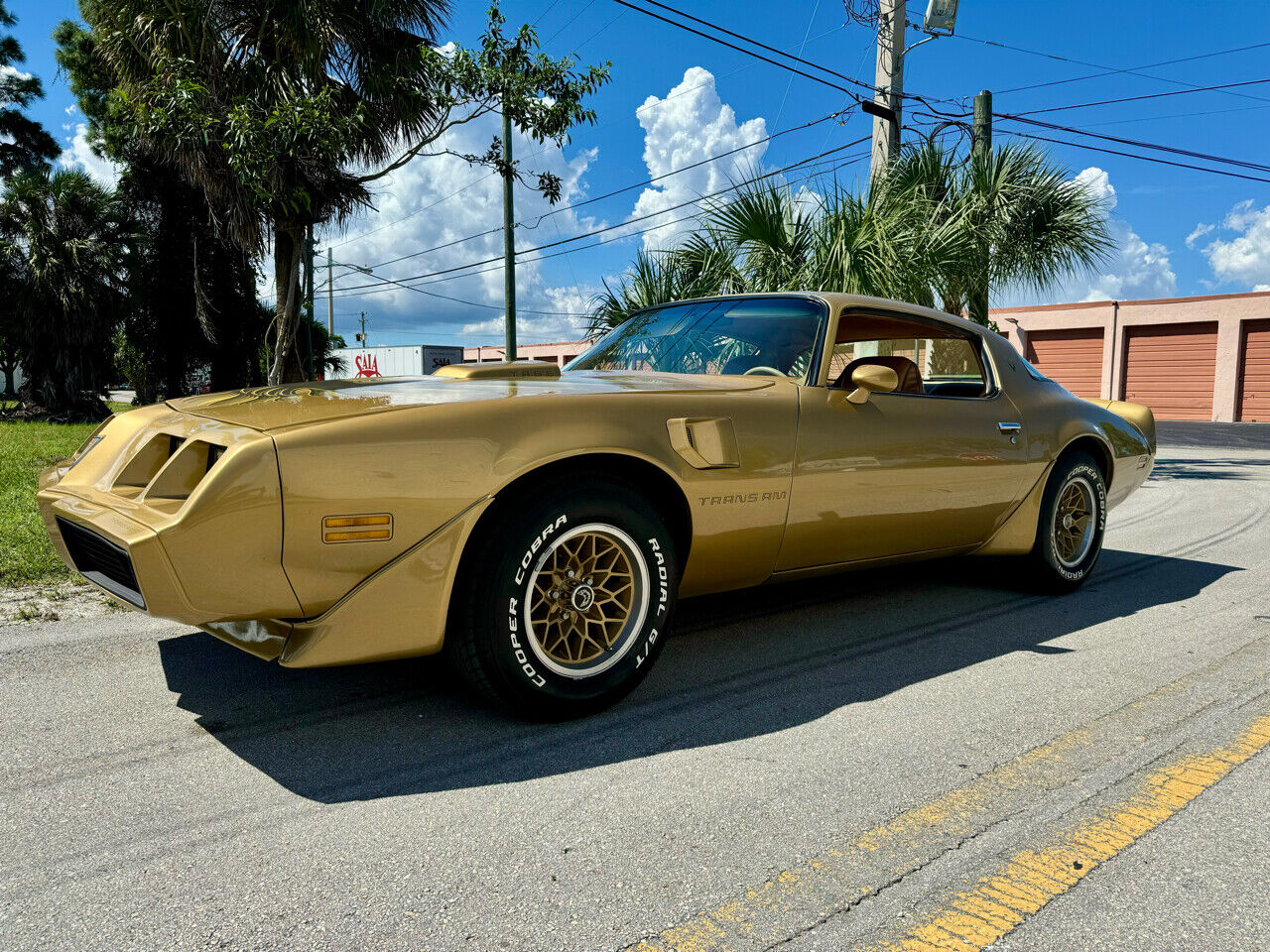 Pontiac Trans Am  1979 à vendre