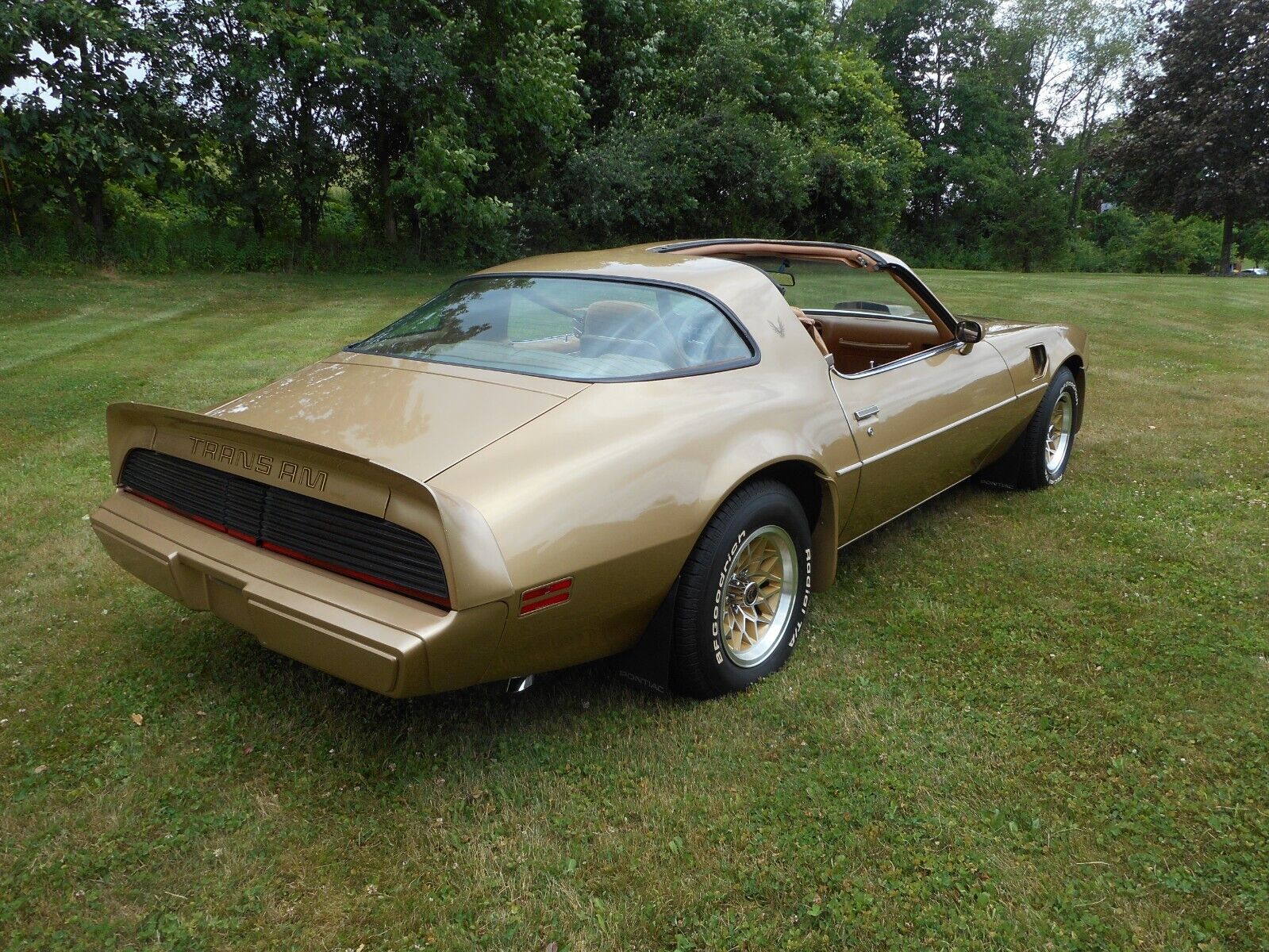 Pontiac-Trans-Am-1979-4