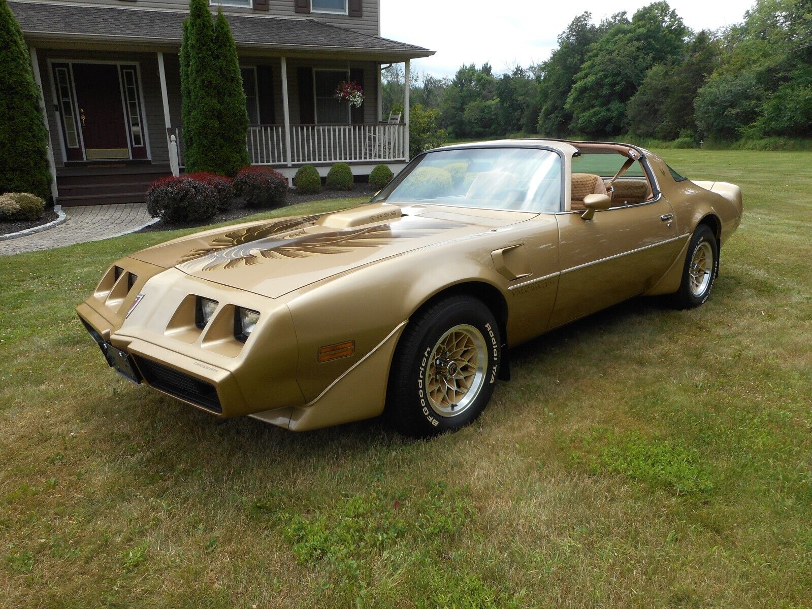 Pontiac Trans Am  1979 à vendre