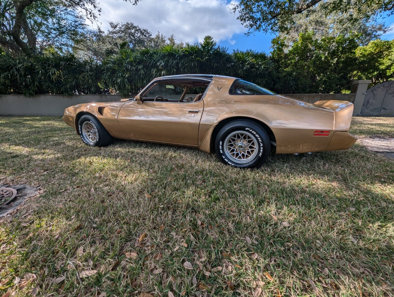 Pontiac Trans Am  1979 à vendre