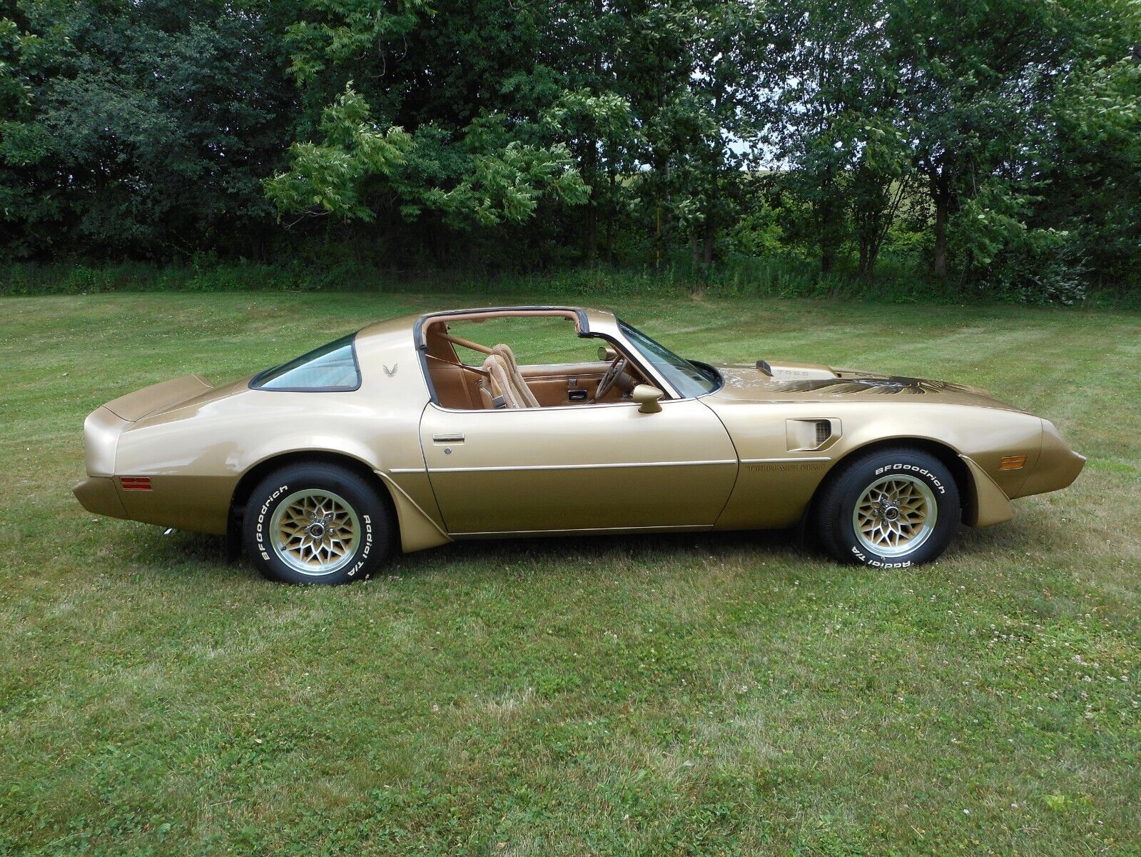 Pontiac-Trans-Am-1979-5