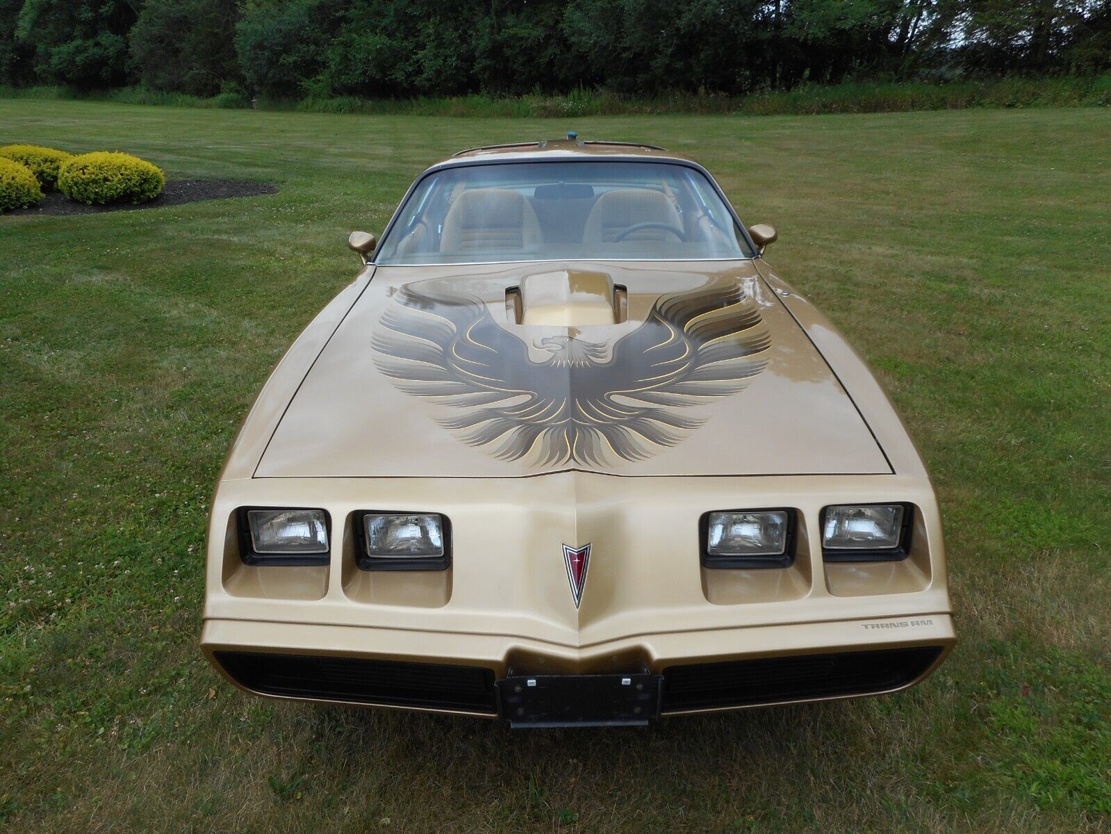 Pontiac-Trans-Am-1979-6