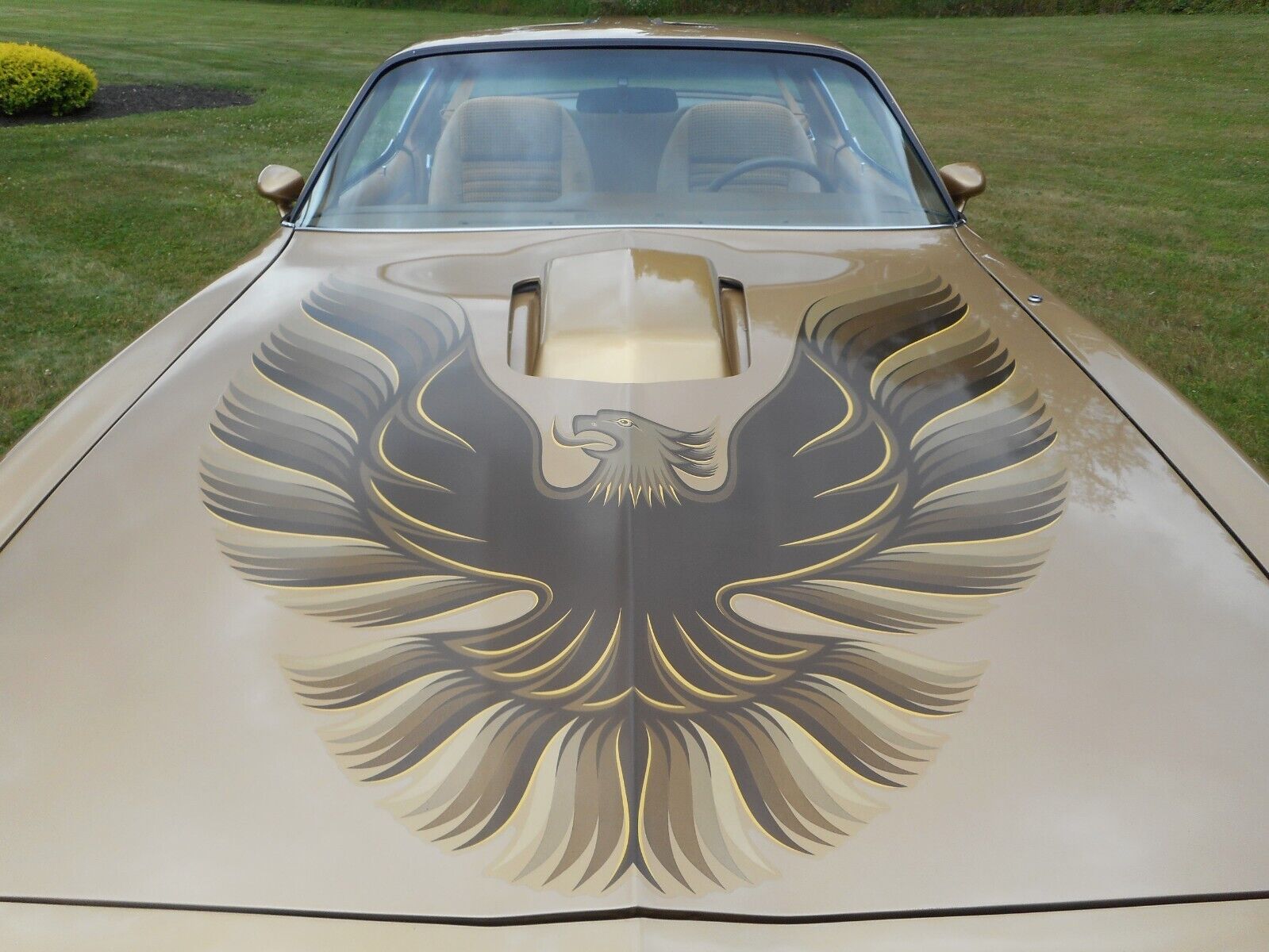 Pontiac-Trans-Am-1979-7