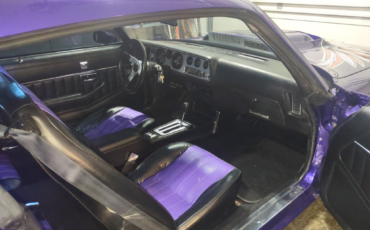 Pontiac-Trans-Am-1979-Purple-Black-127138-2