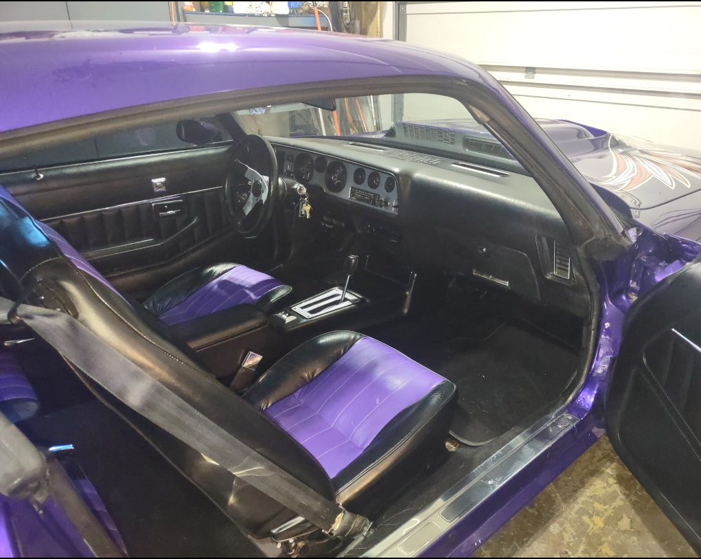 Pontiac-Trans-Am-1979-Purple-Black-127138-2