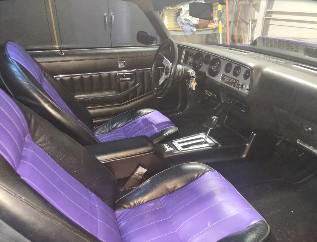 Pontiac-Trans-Am-1979-Purple-Black-127138-3