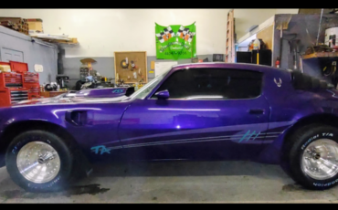 Pontiac-Trans-Am-1979-Purple-Black-127138-4