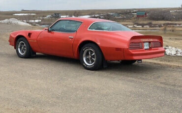 Pontiac-Trans-Am-Coupe-1977-Orange-Black-109435-10