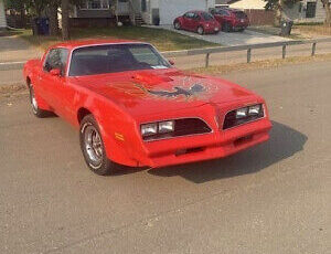 Pontiac-Trans-Am-Coupe-1977-Orange-Black-109435-5