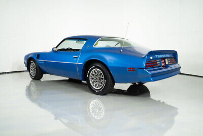 Pontiac-Trans-Am-Coupe-1978-Blue-Gray-73957-6