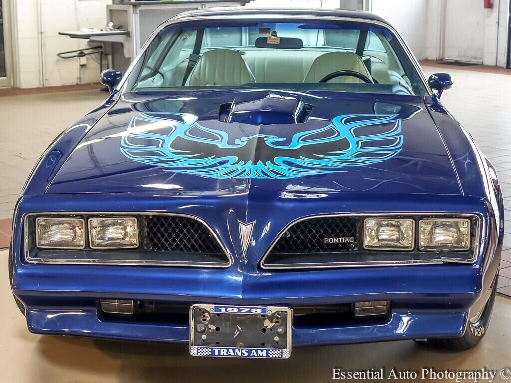 Pontiac-Trans-Am-Coupe-1978-Blue-White-134219-5