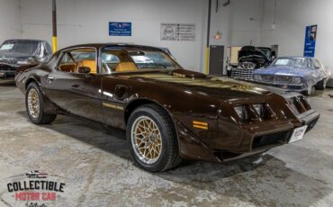 Pontiac-Trans-Am-Coupe-1979-Brown-Camel-116285-10