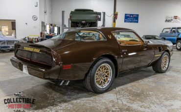 Pontiac-Trans-Am-Coupe-1979-Brown-Camel-116285-12