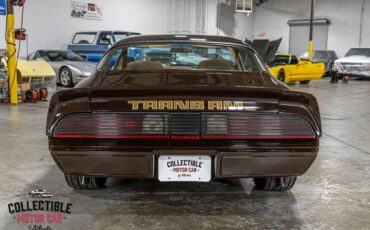 Pontiac-Trans-Am-Coupe-1979-Brown-Camel-116285-14