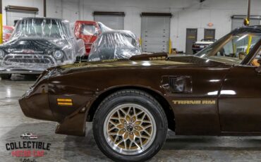 Pontiac-Trans-Am-Coupe-1979-Brown-Camel-116285-18