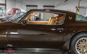 Pontiac-Trans-Am-Coupe-1979-Brown-Camel-116285-21