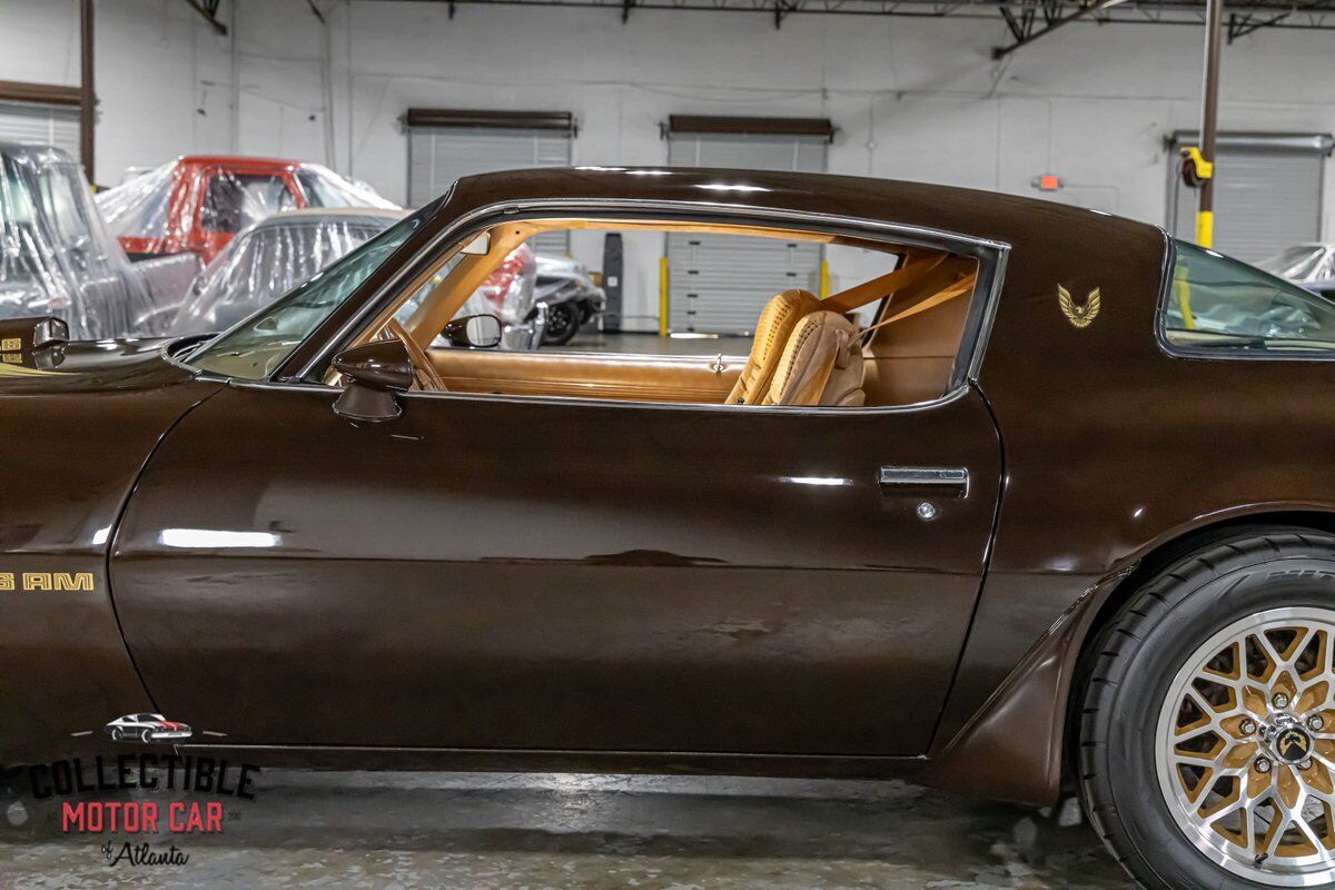 Pontiac-Trans-Am-Coupe-1979-Brown-Camel-116285-21