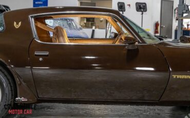 Pontiac-Trans-Am-Coupe-1979-Brown-Camel-116285-24