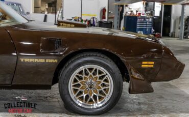 Pontiac-Trans-Am-Coupe-1979-Brown-Camel-116285-25