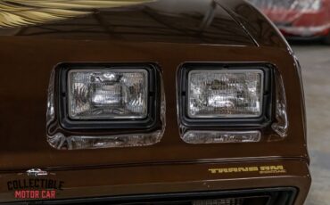 Pontiac-Trans-Am-Coupe-1979-Brown-Camel-116285-29