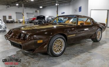 Pontiac-Trans-Am-Coupe-1979-Brown-Camel-116285-6