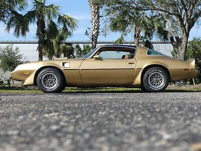 Pontiac-Trans-Am-Coupe-1979-Other-Brown-98582-12