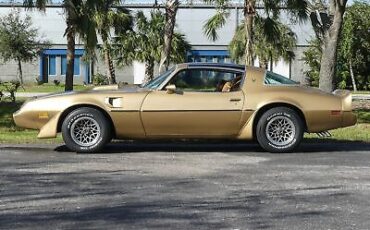 Pontiac-Trans-Am-Coupe-1979-Other-Brown-98582-13