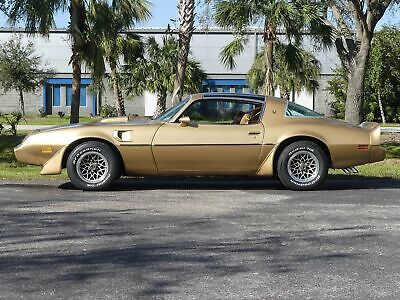 Pontiac-Trans-Am-Coupe-1979-Other-Brown-98582-13