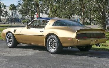 Pontiac-Trans-Am-Coupe-1979-Other-Brown-98582-16