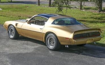 Pontiac-Trans-Am-Coupe-1979-Other-Brown-98582-17