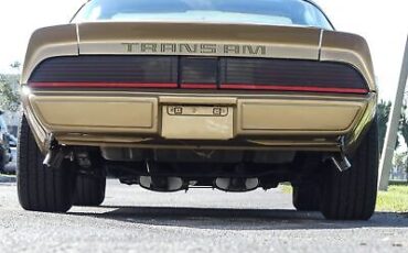 Pontiac-Trans-Am-Coupe-1979-Other-Brown-98582-18