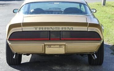 Pontiac-Trans-Am-Coupe-1979-Other-Brown-98582-19