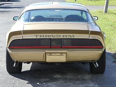 Pontiac-Trans-Am-Coupe-1979-Other-Brown-98582-19