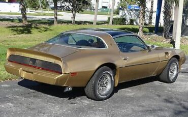 Pontiac-Trans-Am-Coupe-1979-Other-Brown-98582-2