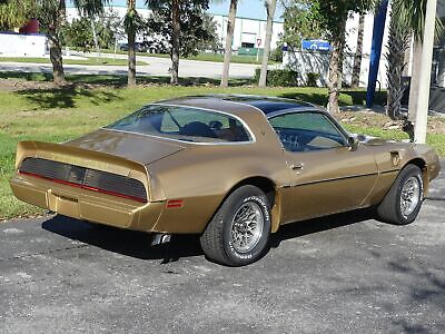 Pontiac-Trans-Am-Coupe-1979-Other-Brown-98582-2