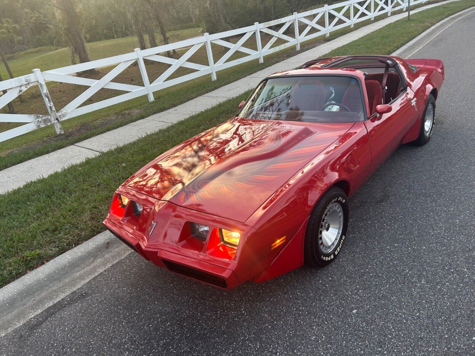 Pontiac-Trans-Am-Coupe-1980-12