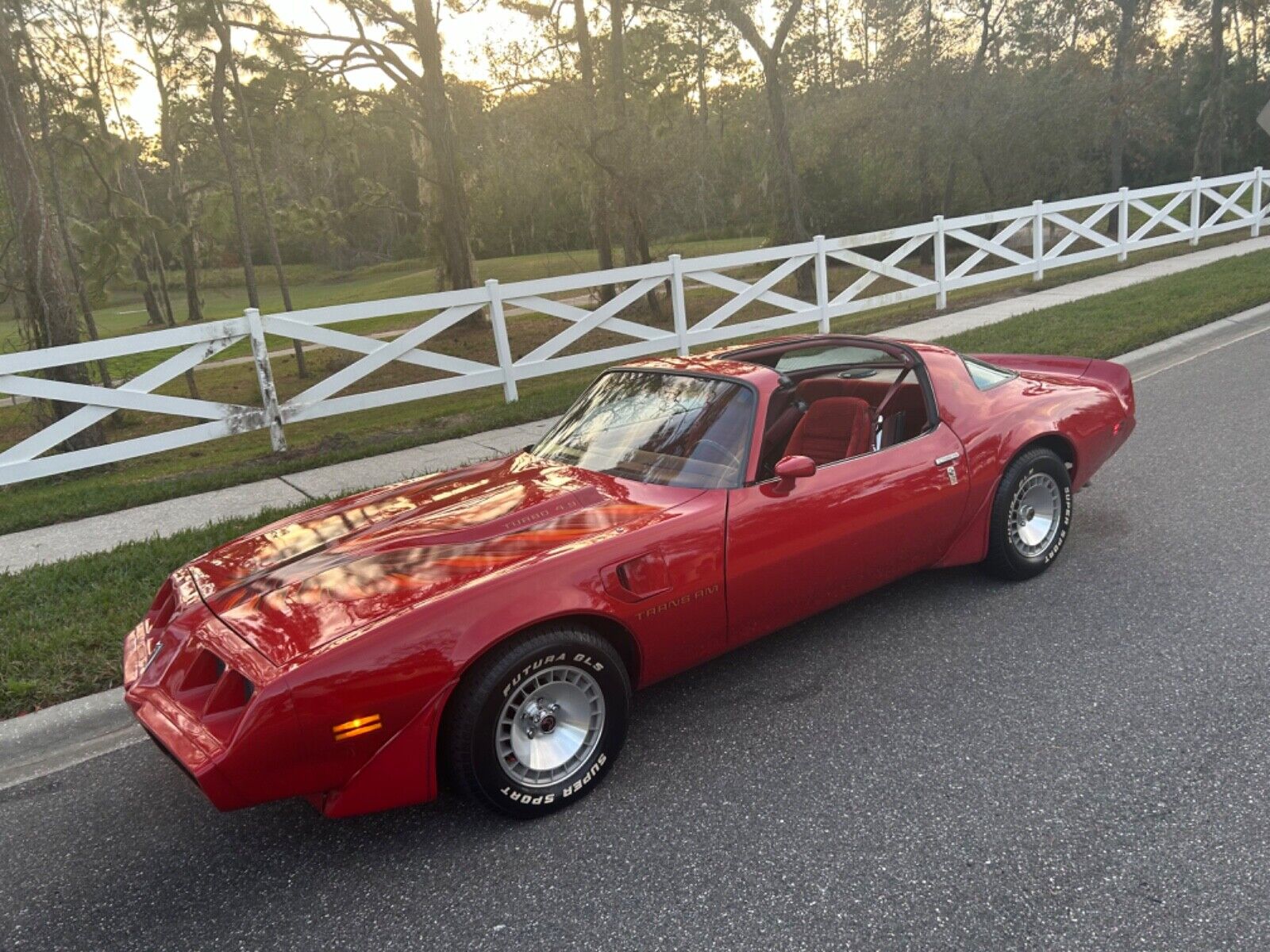 Pontiac-Trans-Am-Coupe-1980-22