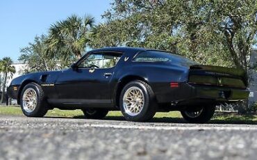 Pontiac-Trans-Am-Coupe-1980-Other-Black-65980-18