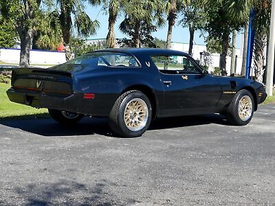 Pontiac-Trans-Am-Coupe-1980-Other-Black-65980-2