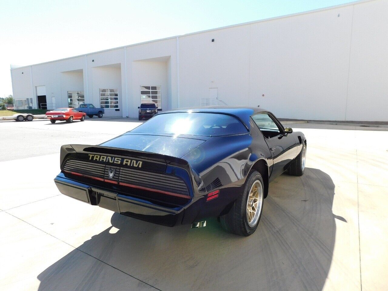 Pontiac-Trans-Am-Coupe-1981-10