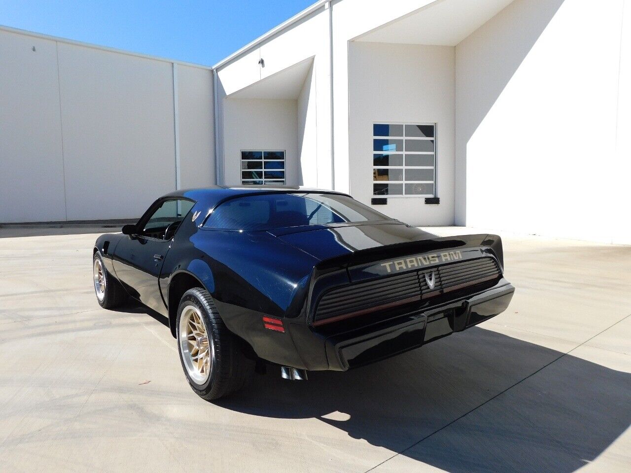 Pontiac-Trans-Am-Coupe-1981-8