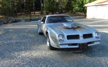 Pontiac-Trans-am-1976-silver-46014-3