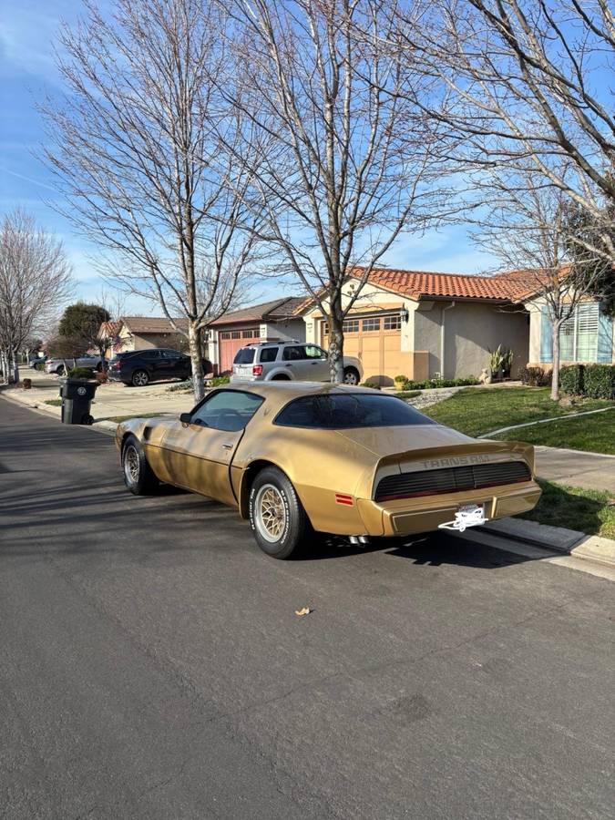 Pontiac-Trans-am-1979-1