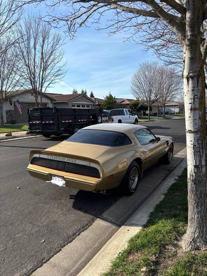 Pontiac-Trans-am-1979-2