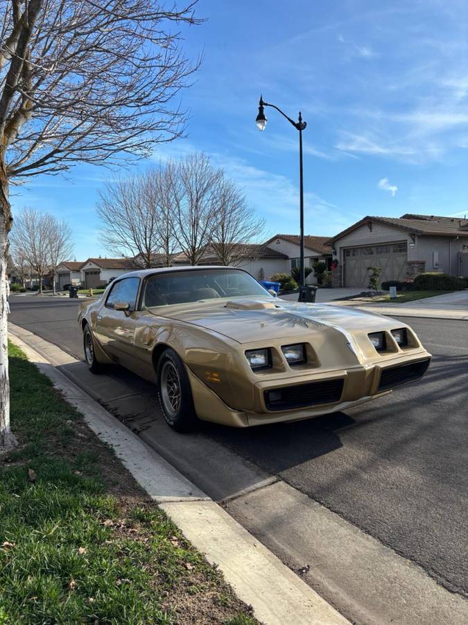 Pontiac-Trans-am-1979-3